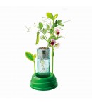 Set creativ Stiinta si joaca - Gradina mea