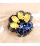 Pinch Family, Model Cat Paw, 6.5 x 6 cm, din Tpr, 4-6 Ani, Model 1 Pestisori, Negru cu Insertii