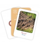 Carti de Joc educative pentru copii, Pamant, Aer, Apa, Editura Gama