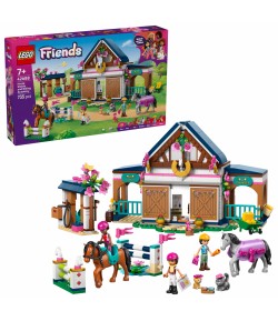 GRAJD CAI SI ACAD. ECHITATIE LEGO42688