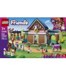 GRAJD CAI SI ACAD. ECHITATIE LEGO42688