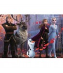 Puzzle de podea 2 in 1 Lisciani, Frozen 2, Maxi, 4 x 48 piese