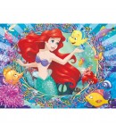 Puzzle de podea 2 in 1, Disney Princess, 4 x 48 piese, Pentru copii, Multicolor