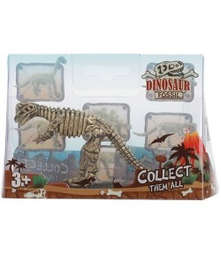 Dinosaur fossil 6ass