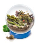 Set de stiinta Lisciani, Ecosistem