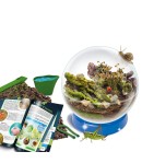 Set de stiinta Lisciani, Ecosistem