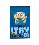 Notes cu 200 de abtibilduri Minions 