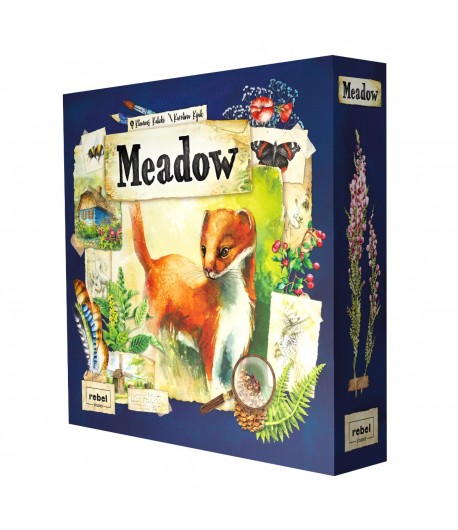 Joc de societate Meadow, limba romana